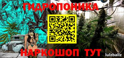 крисы Заволжье