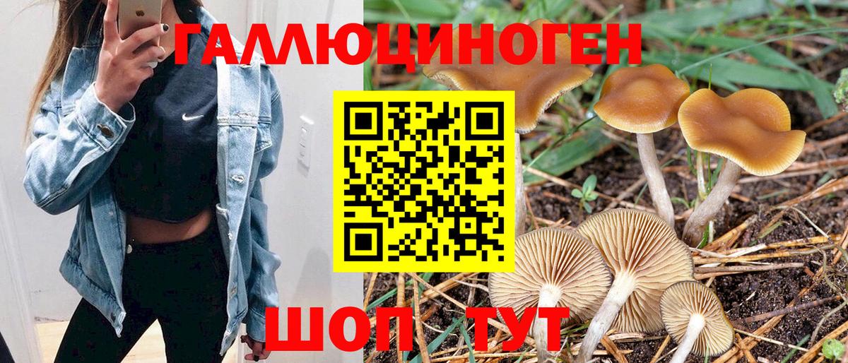 Галлюциногенные грибы MAGIC MUSHROOMS Малоярославец