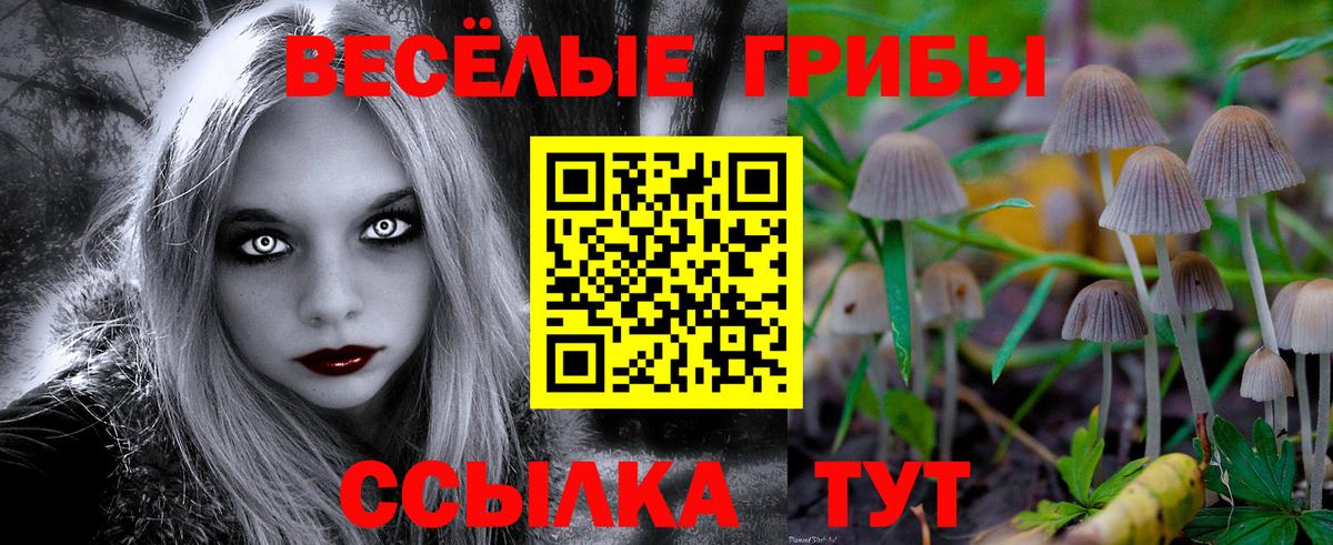 Галлюциногенные грибы MAGIC MUSHROOMS  Вход с VPN  Малоярославец 
